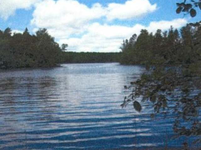 On Wilson Island Road Phillips, WI 54555 - Photo 2 of 10 Gallery Image 2