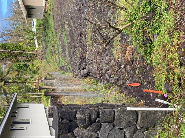 879 Church Road Pahoa, HI 96778 - Photo 9 of 15