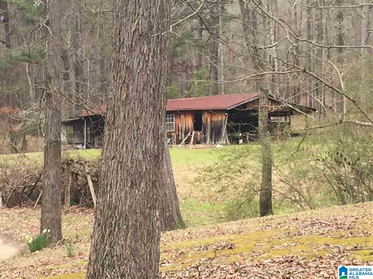 7465 Rodgers Road Southwest Leeds, AL 35094 - Photo 20 of 25