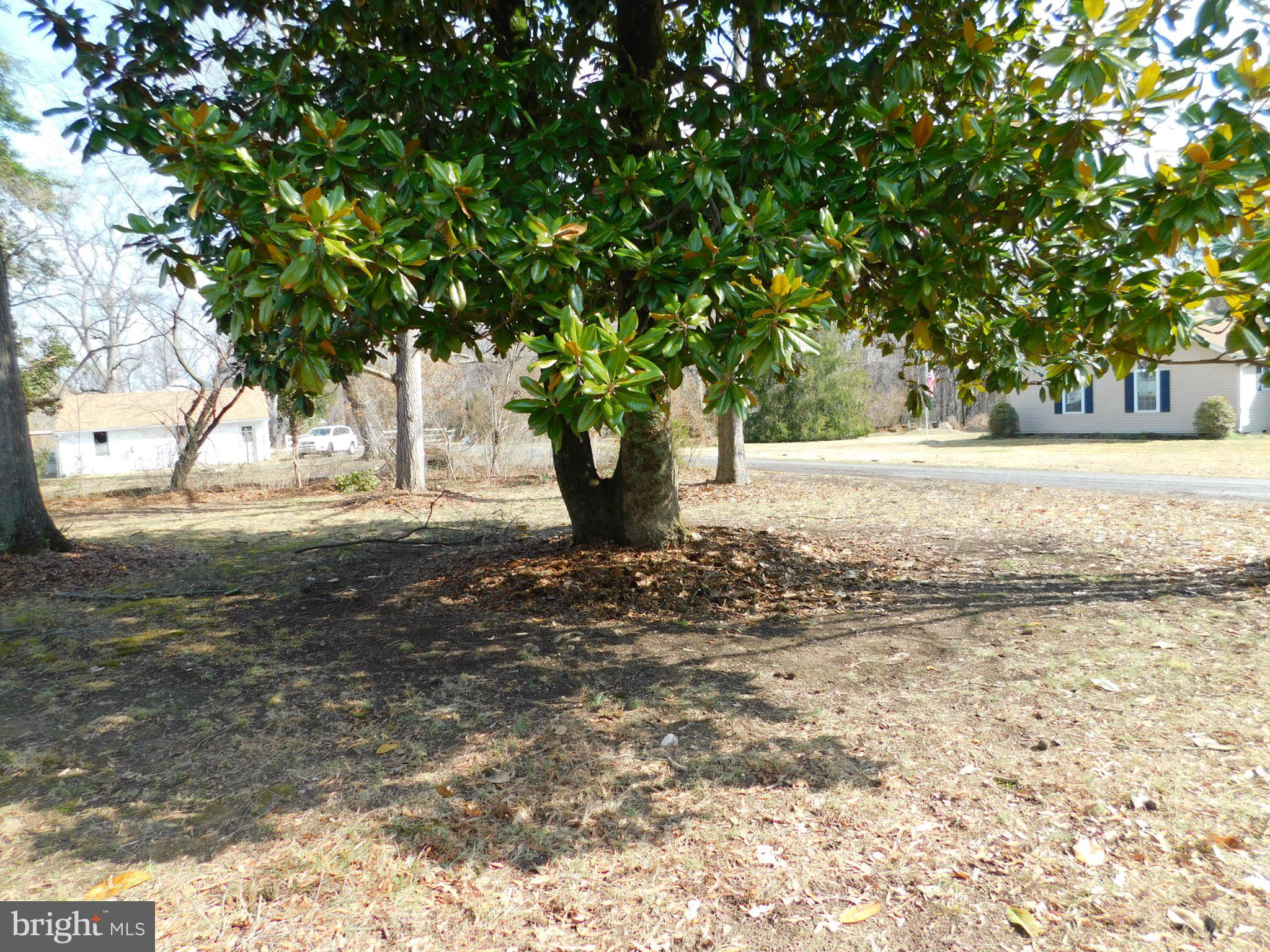 10374 Rectory Lane King George, VA 22485 - Photo 15 of 18 Front Yard Toward Street