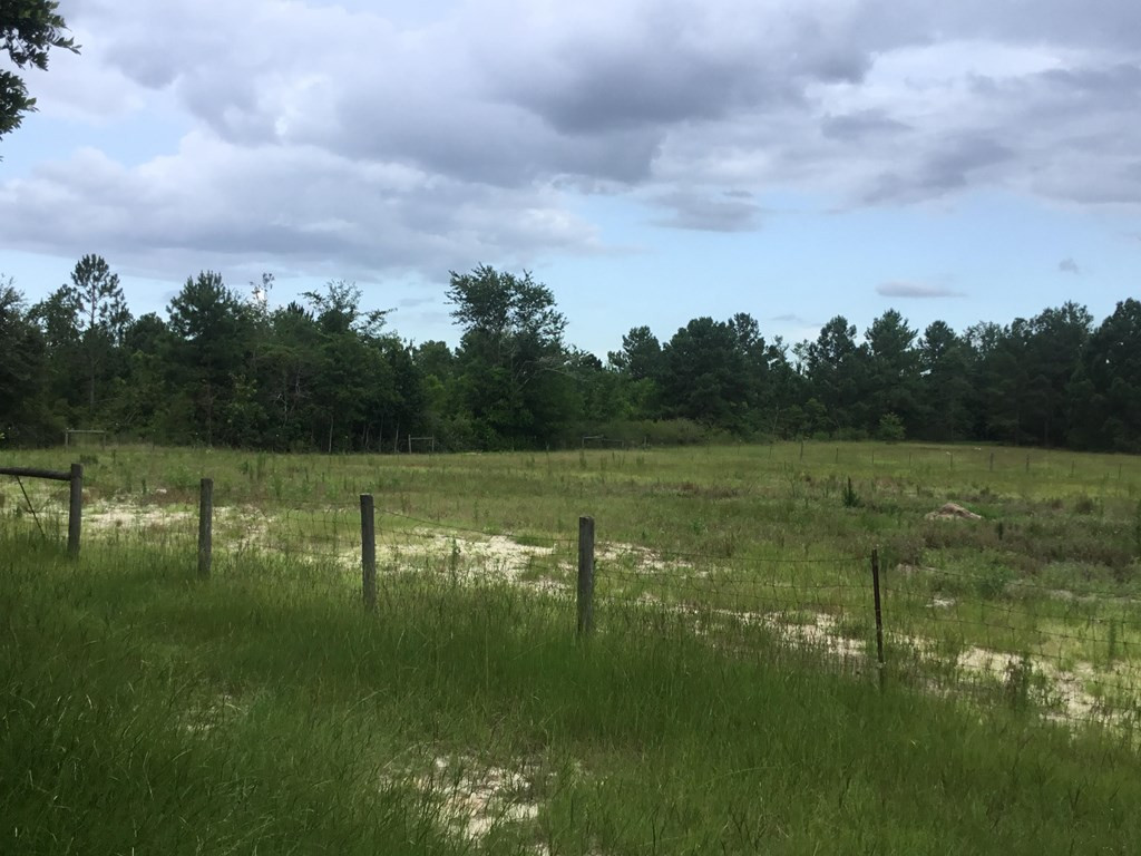 1004 Kedron Church Road Aiken, SC 29805 - Photo 9 of 21