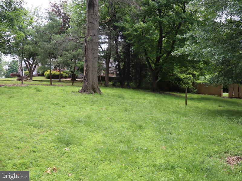 1620 Old Welsh Road Huntingdon Valley, PA 19006 - Photo 5 of 46