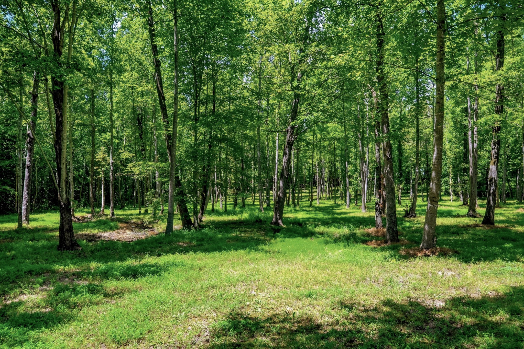 2097 Shellsford Road McMinnville, TN 37110 - Photo 63 of 64 Gallery Image 63