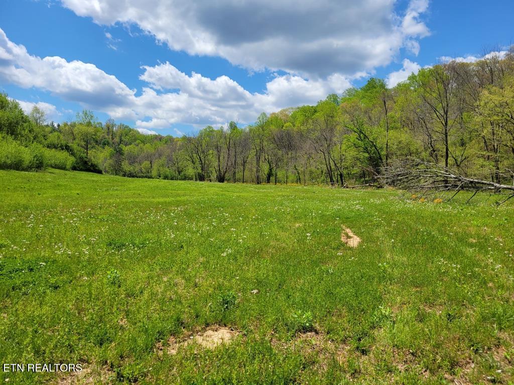 Cocke County Line Road Cosby, TN 37722 - Photo 1 of 3 242871_0