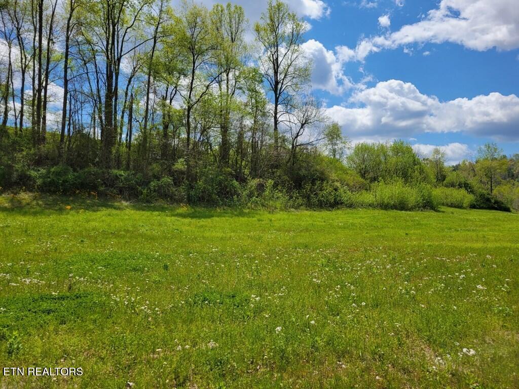 Cocke County Line Road Cosby, TN 37722 - Photo 2 of 3 242871_2