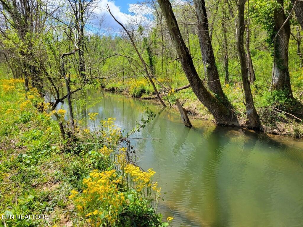 Cocke County Line Road Cosby, TN 37722 - Photo 3 of 3 242871_1