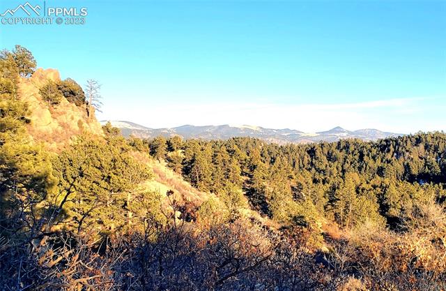 117 Apache Road Florissant, CO 80816 - Photo 2 of 15