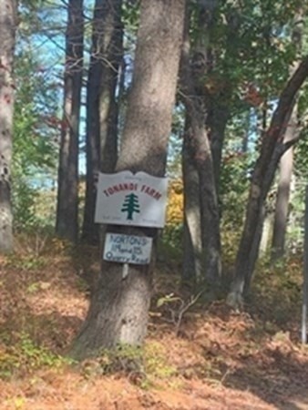 115 Quarry Road Acton, MA 01720 - Photo 5 of 9 Gallery Image 5