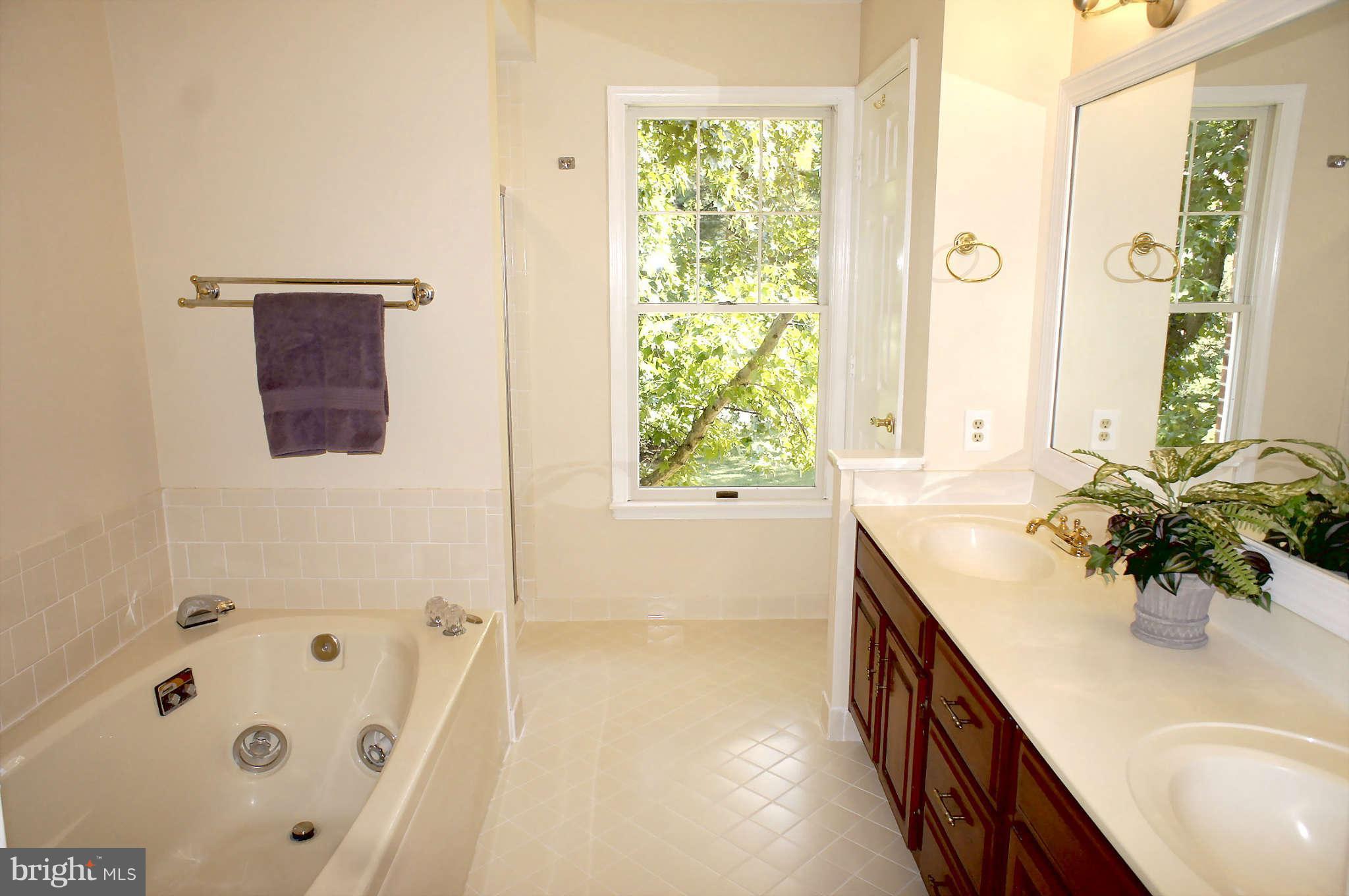13307 Query Mill Road North Potomac, MD 20878 - Photo 15 of 30 Bath (Master)