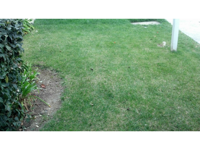 8982 Del Rio Circle Gilroy, CA 95020 - Photo 13 of 16 a open area with trees in the background