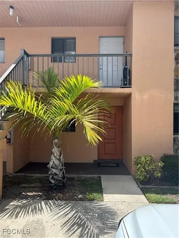 a potted plant sitting in front of a door