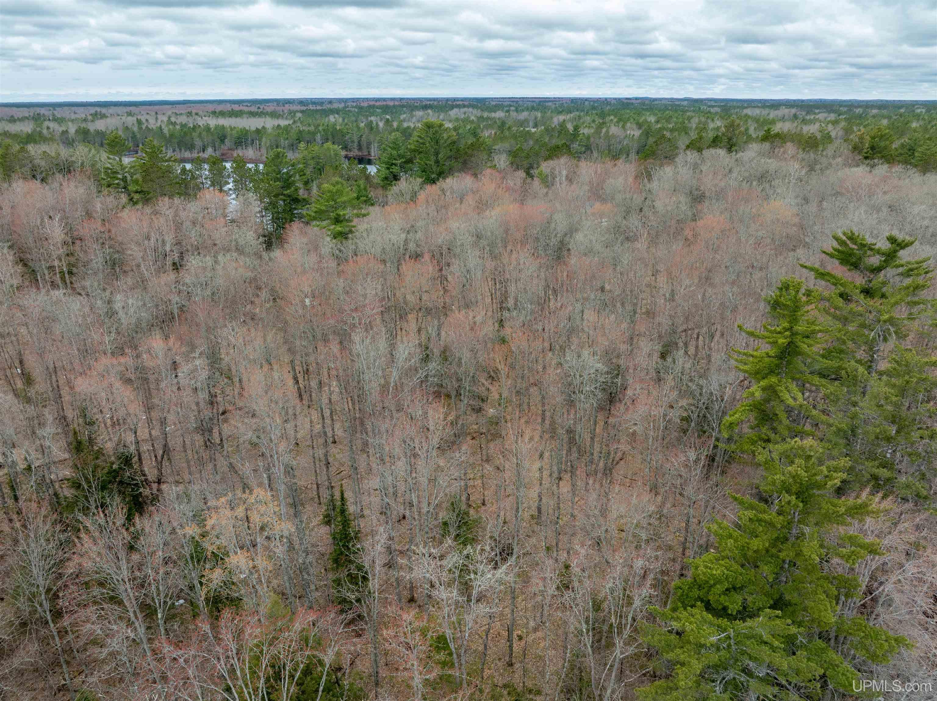 Tbd Big Twin Lake Road Wetmore, MI 49895 - Photo 14 of 14