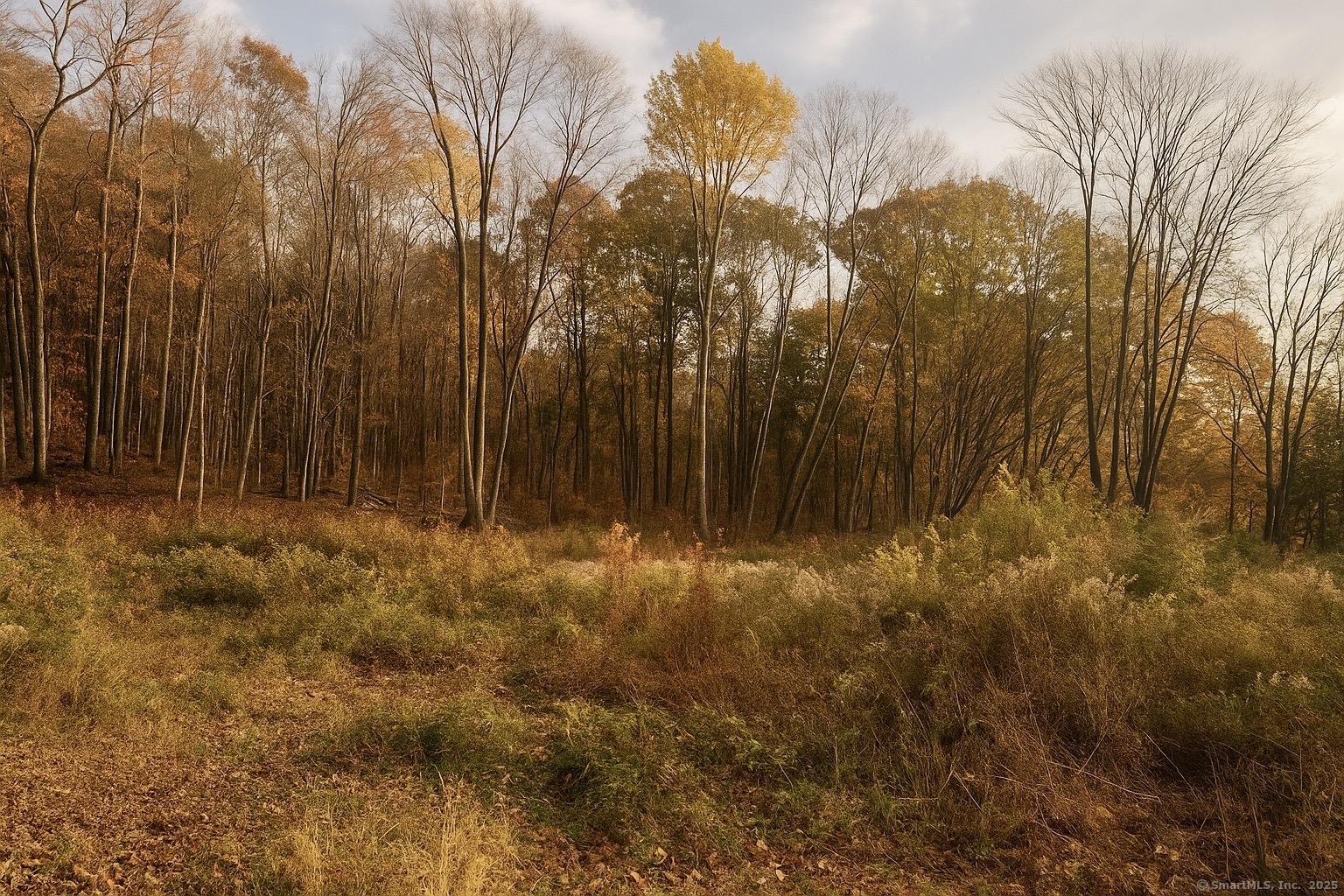 574 Oxford Road Oxford, CT 06478 - Photo 2 of 6 a view of back yard