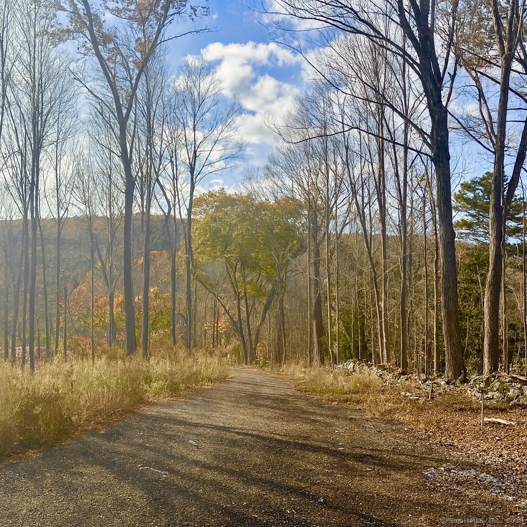 574 Oxford Road Oxford, CT 06478 - Photo 4 of 6 a view of outdoor space with trees