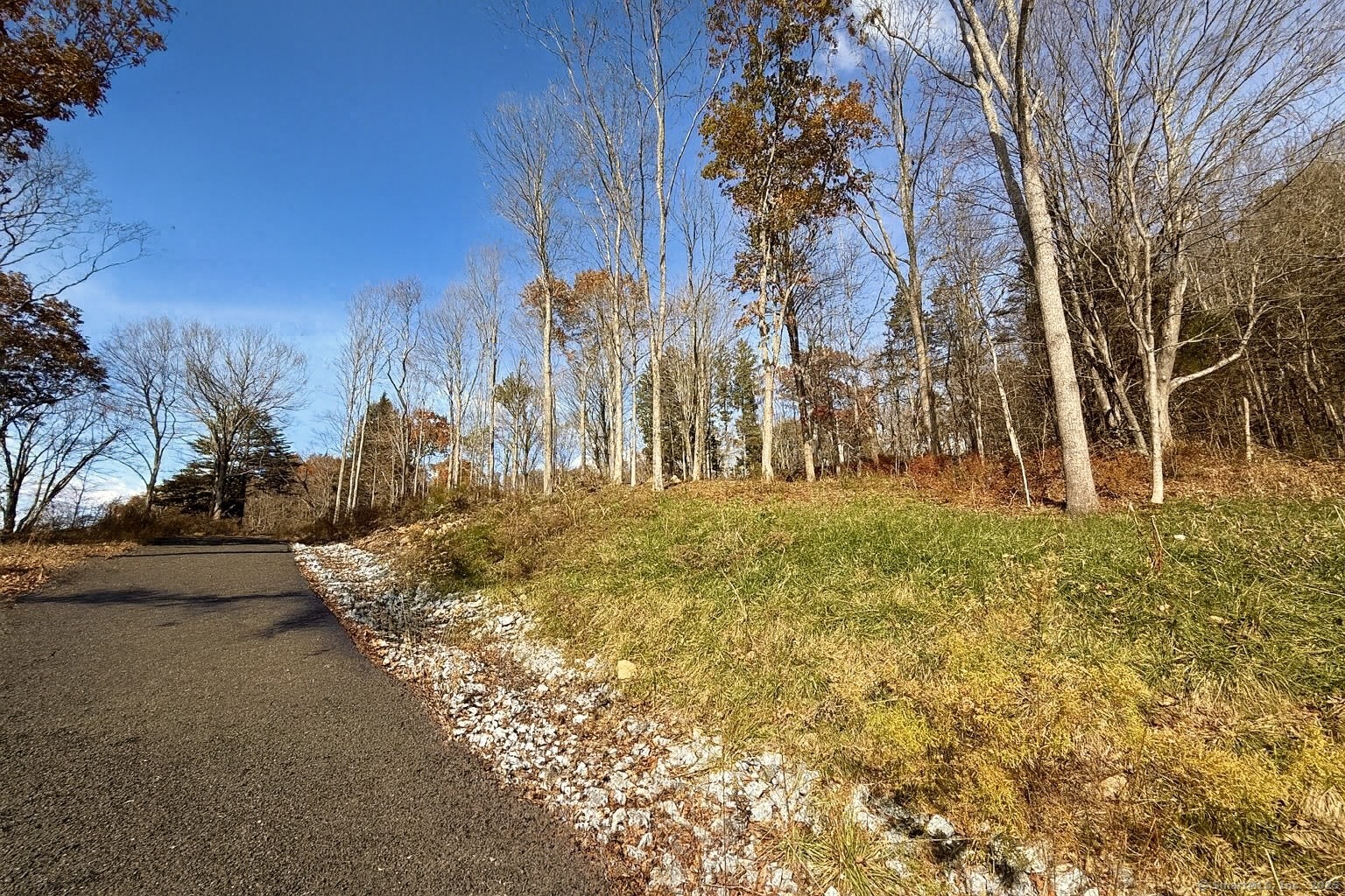 574 Oxford Road Oxford, CT 06478 - Photo 5 of 6 a view of outdoor space with trees