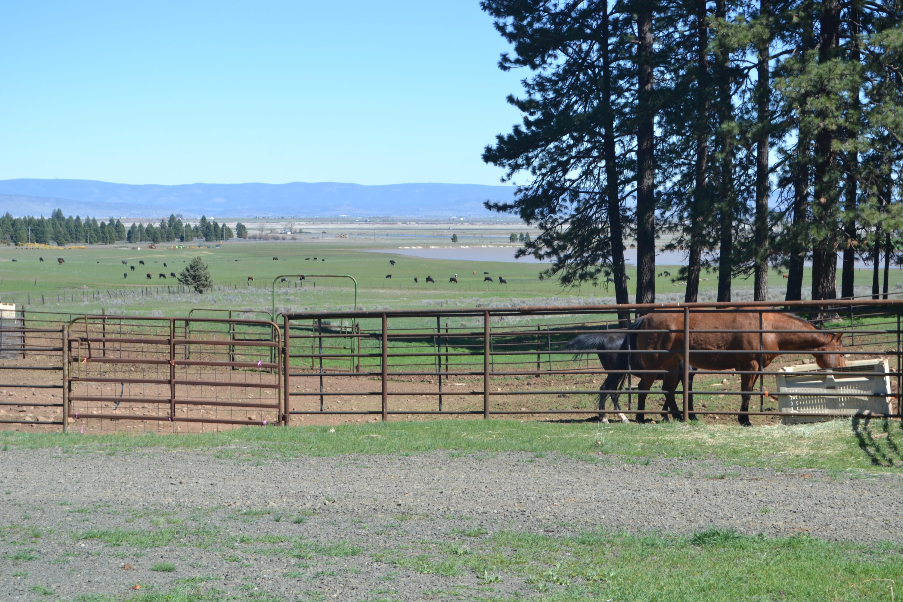651-050 Foothill Road McArthur, CA 96056 - Photo 81 of 89 BARN11