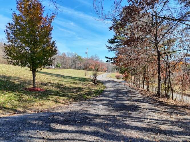 756 Doc Jones Road Blairsville, GA 30512 - Photo 16 of 46 a view of a tree with a yard