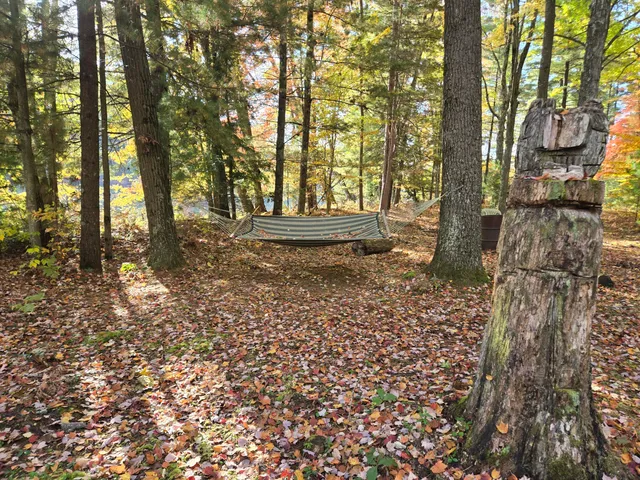 $850,000 | 8918 West School Section Lake Drive, Mecosta, MI 49332