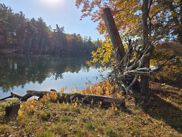 $850,000 | 8918 West School Section Lake Drive, Mecosta, MI 49332