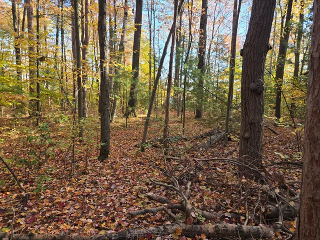 $850,000 | 8918 West School Section Lake Drive, Mecosta, MI 49332