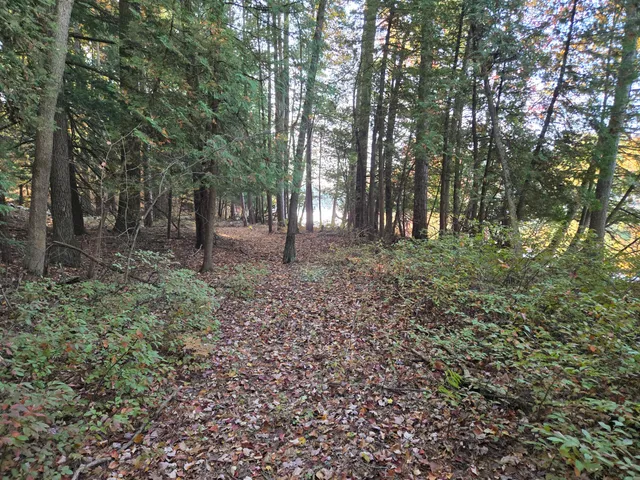 $850,000 | 8918 West School Section Lake Drive, Mecosta, MI 49332