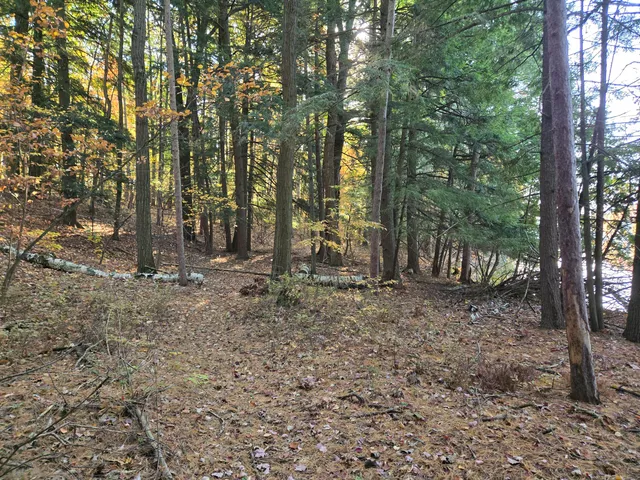 $850,000 | 8918 West School Section Lake Drive, Mecosta, MI 49332