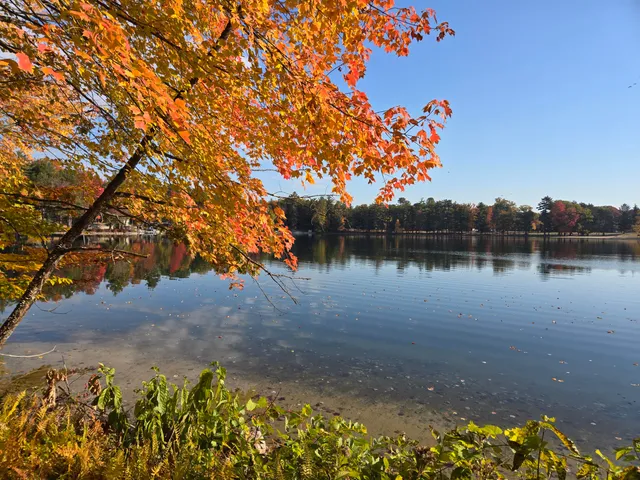 $850,000 | 8918 West School Section Lake Drive, Mecosta, MI 49332