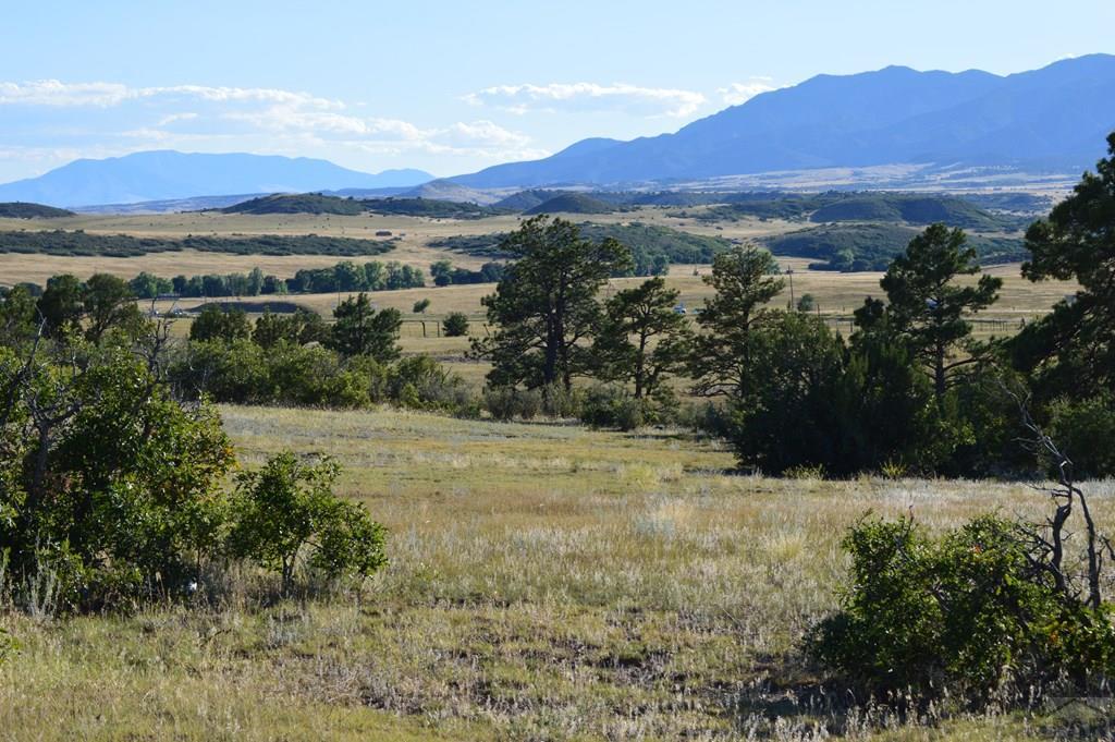 Tbd Tbd Plata Peak Rye, CO 81069 - Photo 1 of 11