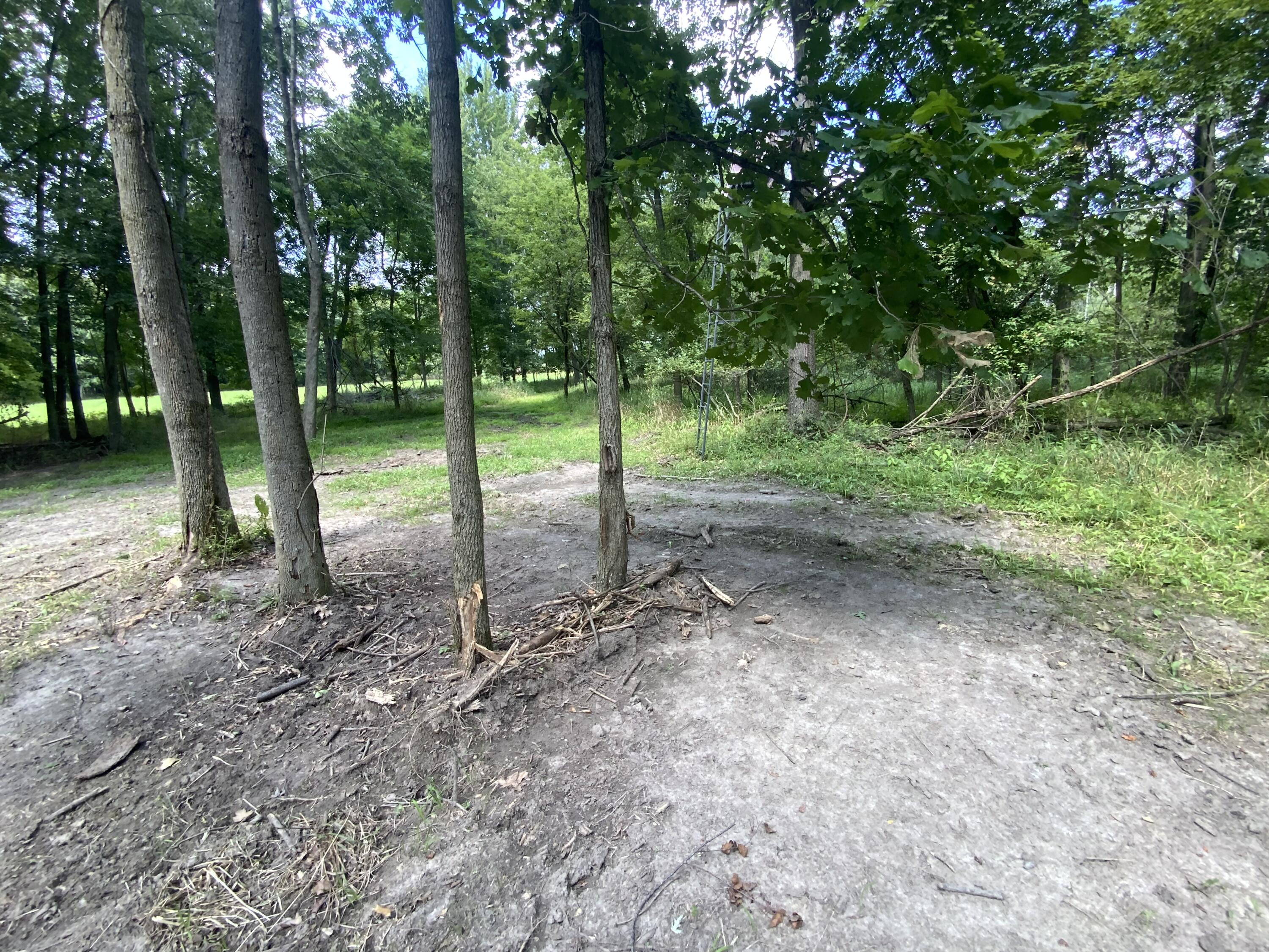 4350 Bailey Road Jackson, MI 49201 - Photo 34 of 42 IMG_1091