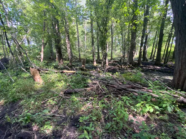 $675,000 | 4350 Bailey Road, Jackson, MI 49201