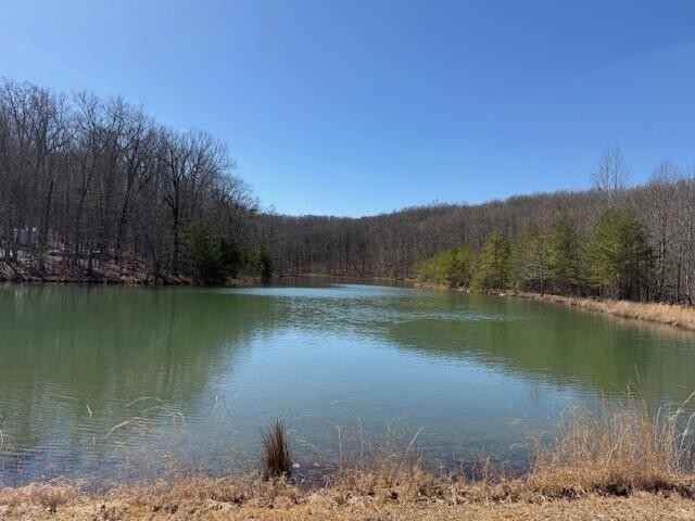 71 Sunbeam Lake Loop Road Dunlap, TN 37327 - Photo 1 of 11