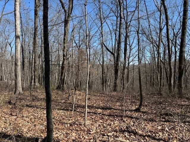 71 Sunbeam Lake Loop Road Dunlap, TN 37327 - Photo 2 of 11 a backyard of a house with lots of green space