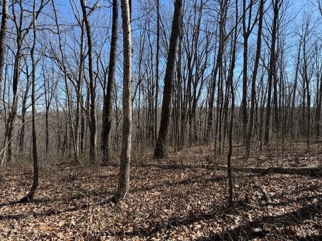 71 Sunbeam Lake Loop Road Dunlap, TN 37327 - Photo 3 of 11 a view of a backyard
