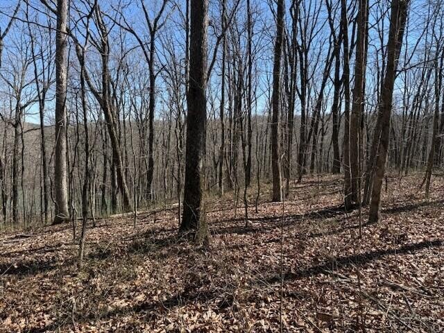 71 Sunbeam Lake Loop Road Dunlap, TN 37327 - Photo 4 of 11 a view of outdoor space with lots of trees
