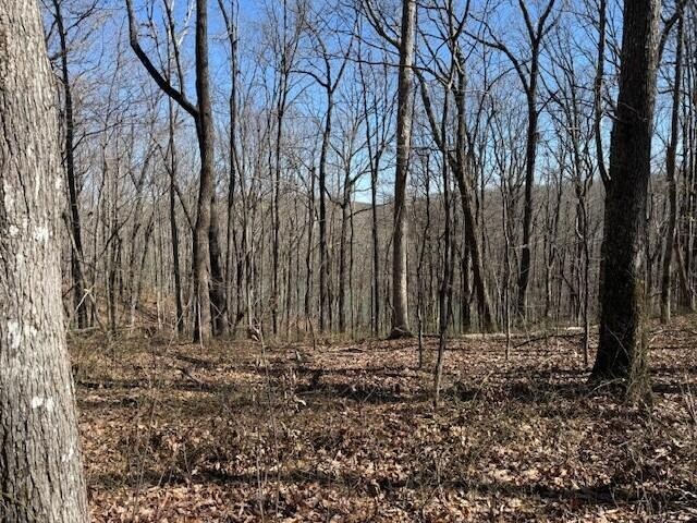 71 Sunbeam Lake Loop Road Dunlap, TN 37327 - Photo 5 of 11 a view of wooden fence