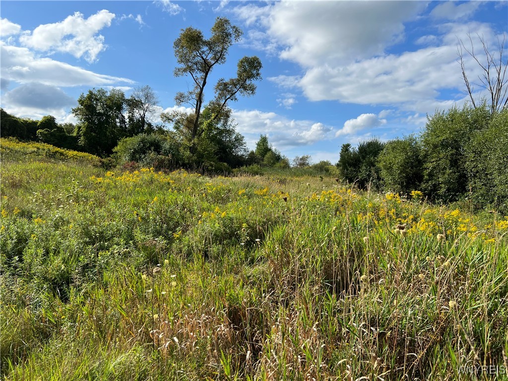 NORTH St Arcade Arcade, NY 14009 - Photo 4 of 5