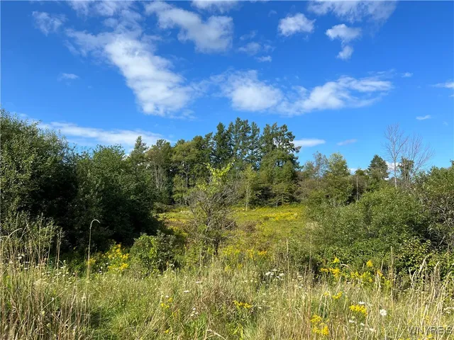 $150,000 | NORTH St Arcade, Arcade, NY 14009