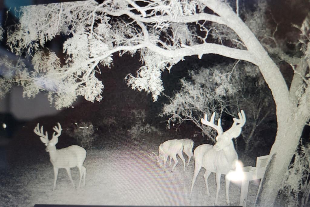 235 HCR 2128 Whitney, TX 76692 - Photo 29 of 30