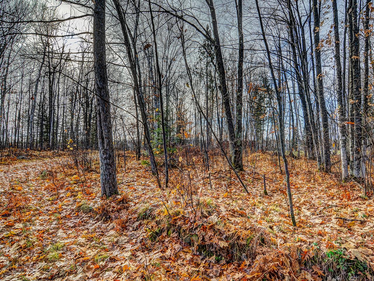 On Goodyear Lake Road Rhinelander, WI 54501 - Photo 10 of 26 Gallery Image 10