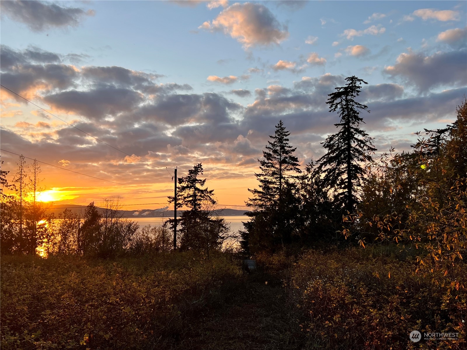 -nhn Bayview Edison Road Bow, WA 98232 - Photo 23 of 40 Gallery Image 23