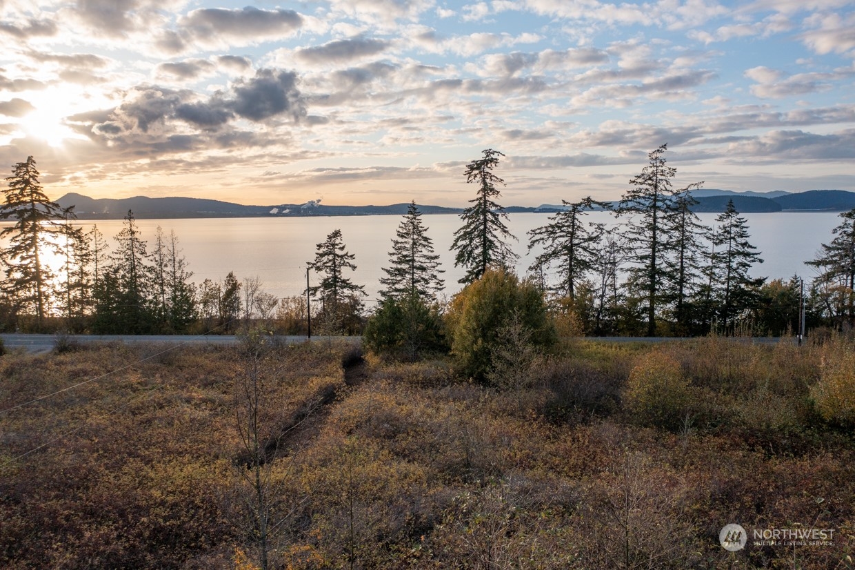 -nhn Bayview Edison Road Bow, WA 98232 - Photo 5 of 40 Gallery Image 5