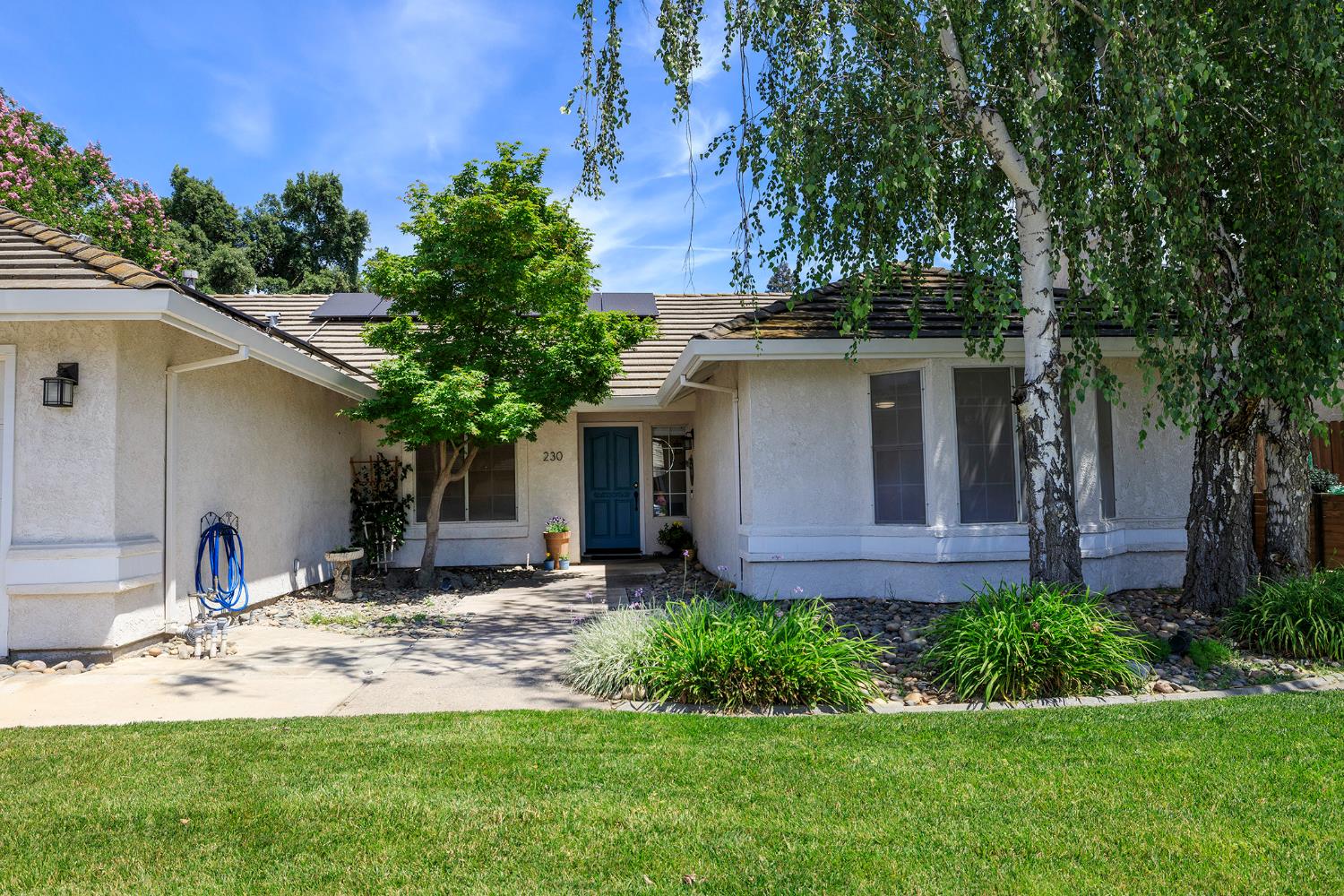 230 Meyenberg Avenue Ripon, CA 95366 - Photo 4 of 52 a view of a house with a yard and tree