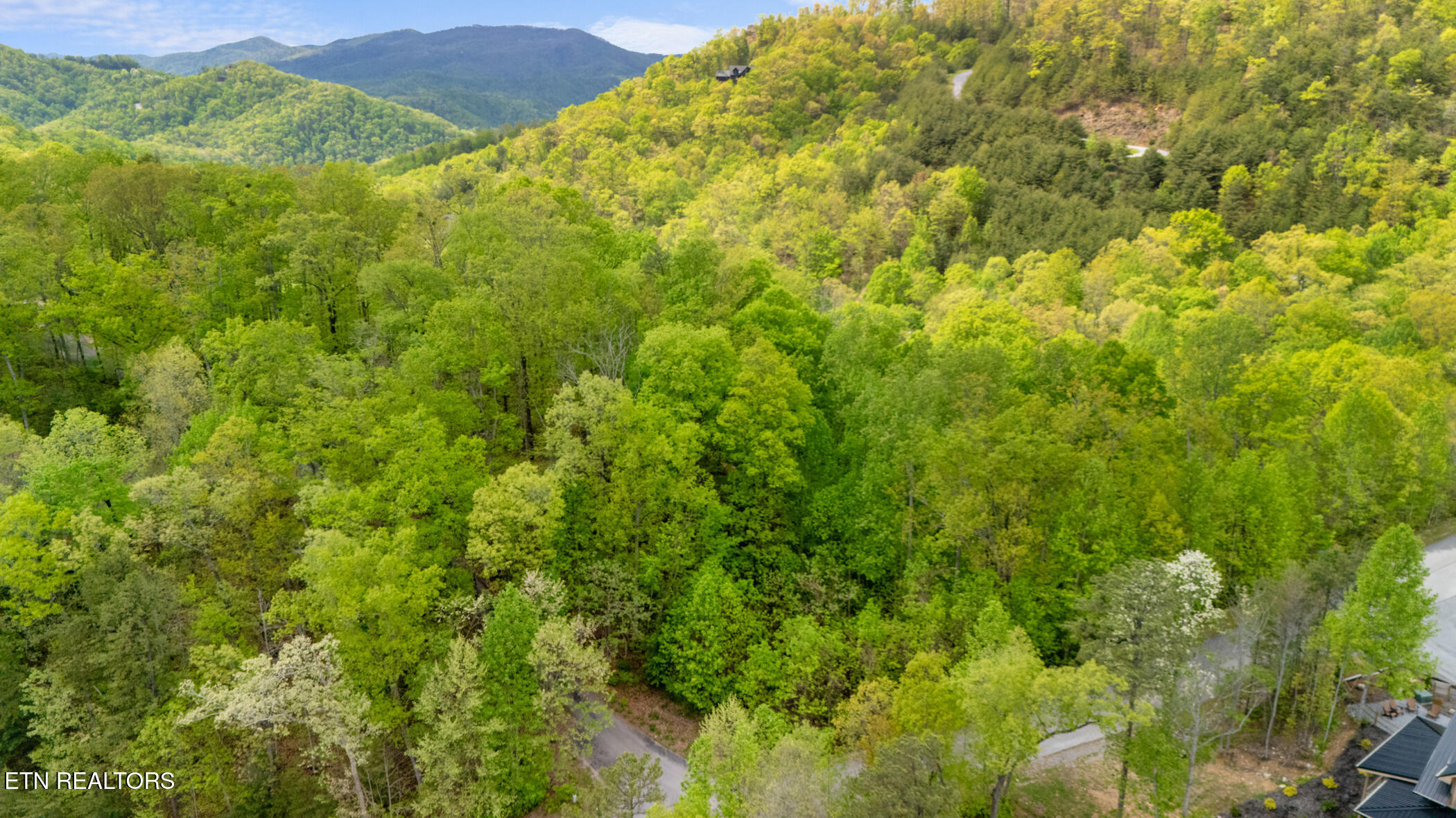 Lot 66 Redtail Road Sevierville, TN 37862 - Photo 4 of 12 dji_20250423152322_0862_d