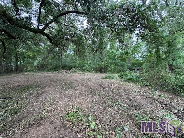 8584 Hooper Road Baton Rouge, LA 70811 - Photo 3 of 6