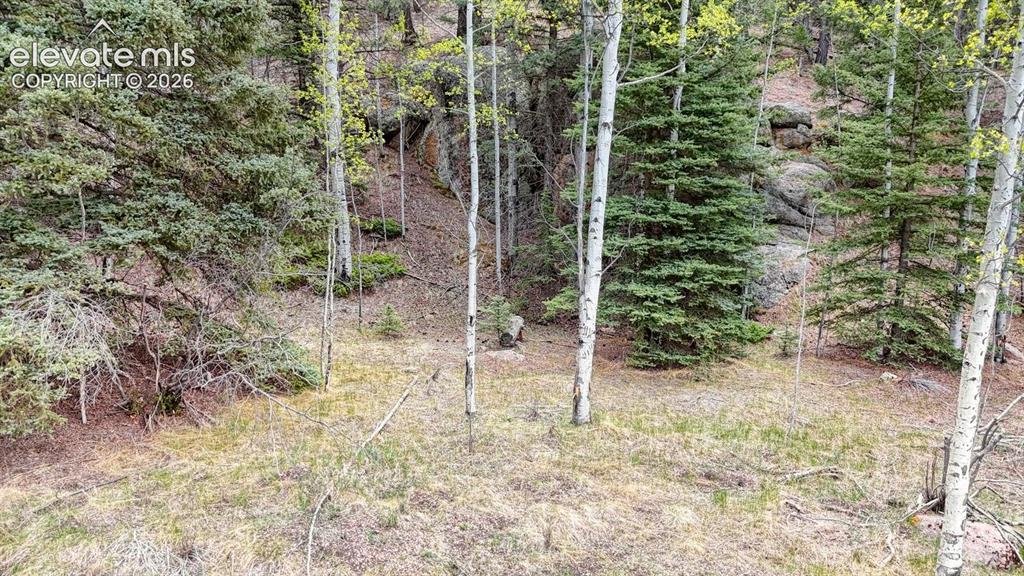42 Rabbit Circle Florissant, CO 80816 - Photo 8 of 20 a view of an outdoor space and trees all around