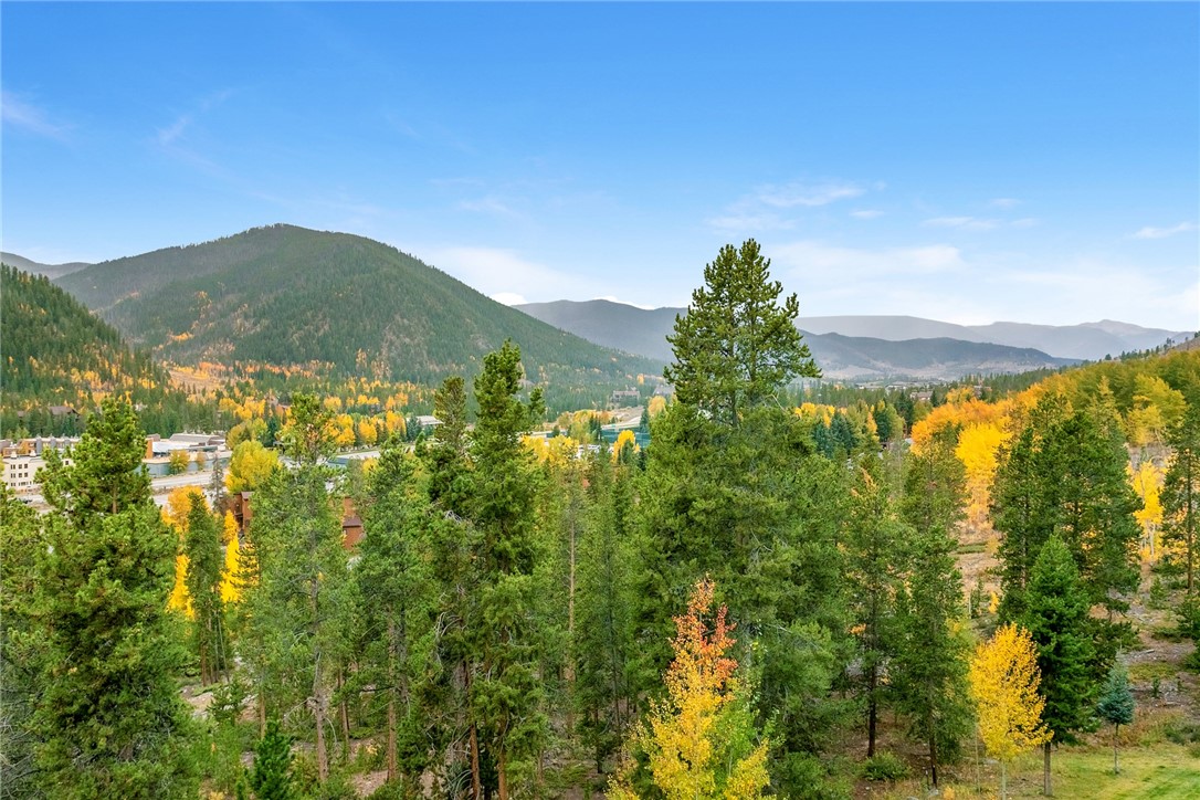 22097 Saints John Road, Unit 2539 Keystone, CO 80435 - Photo 18 of 20 View from private deck