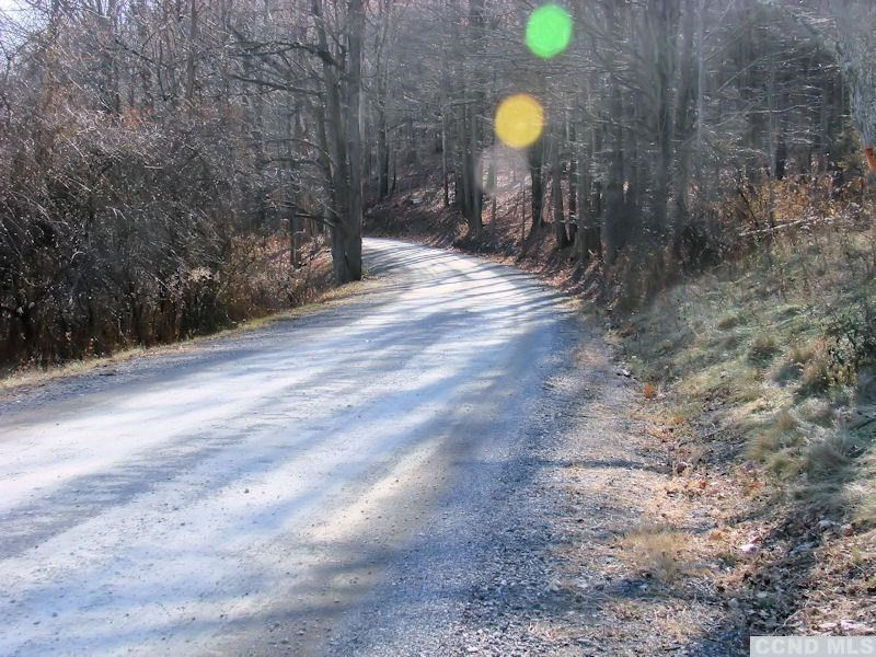 261 Lockwood Road Claverack, NY 12521 - Photo 12 of 14 Lockwood Road going.