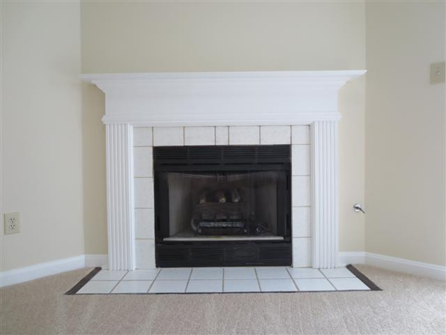 113 Pleasant Ridge Way Lexington, KY 40509 - Photo 12 of 37 Fireplace with vent free gas logs and ma