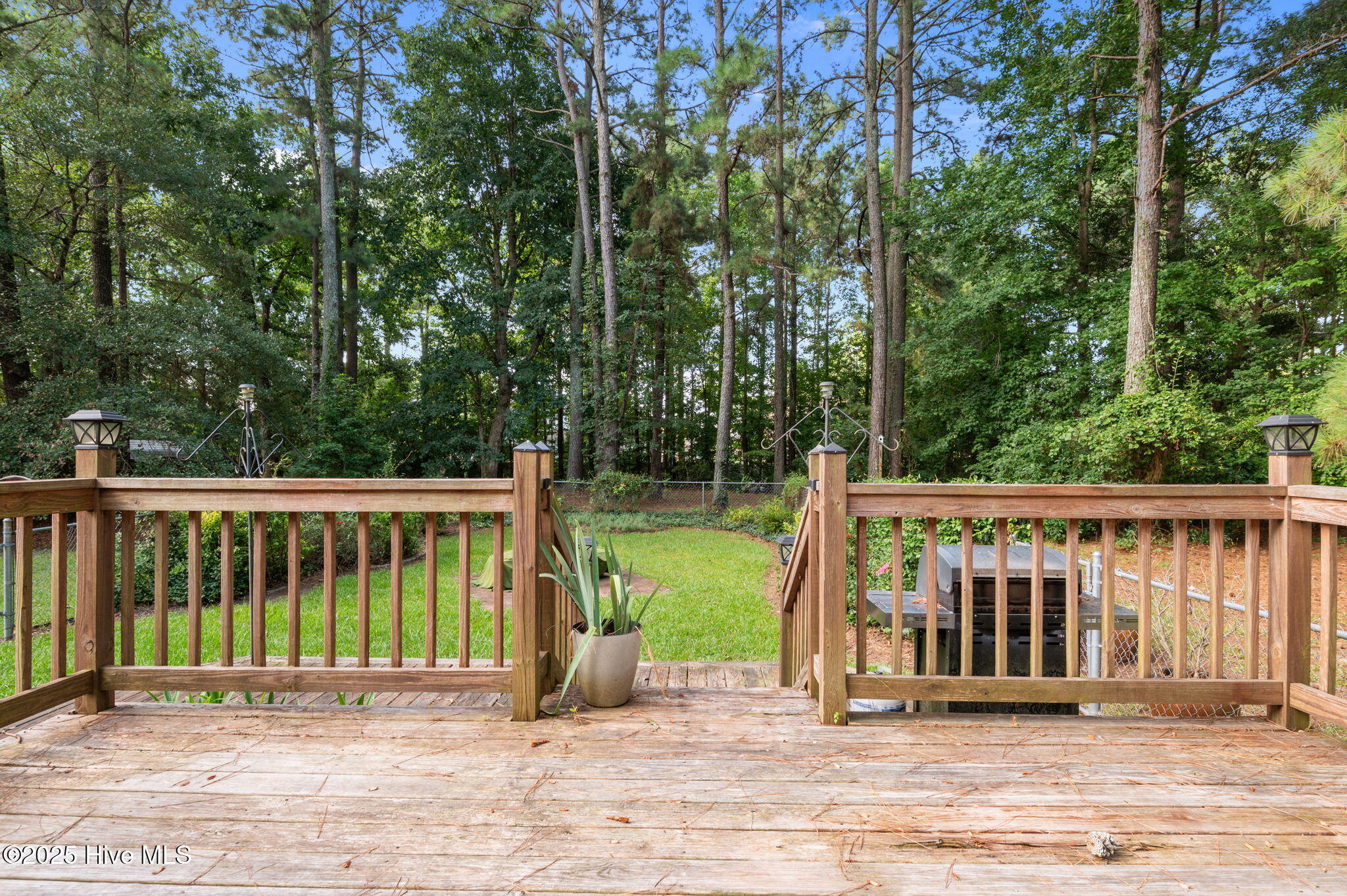 855 Darrell Drive Greenville, NC 27834 - Photo 47 of 50 47-web-or-mls-LHV_1254