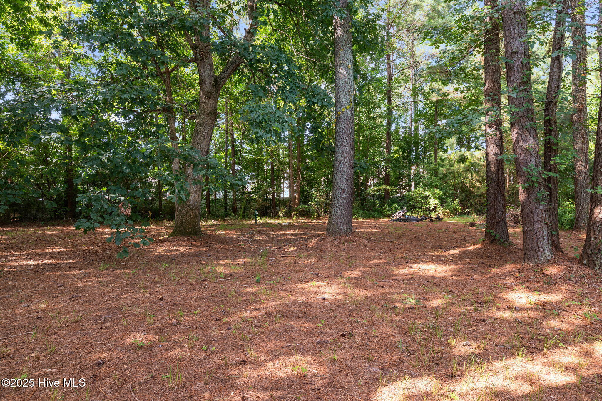 855 Darrell Drive Greenville, NC 27834 - Photo 49 of 50 49-web-or-mls-LHV_1258